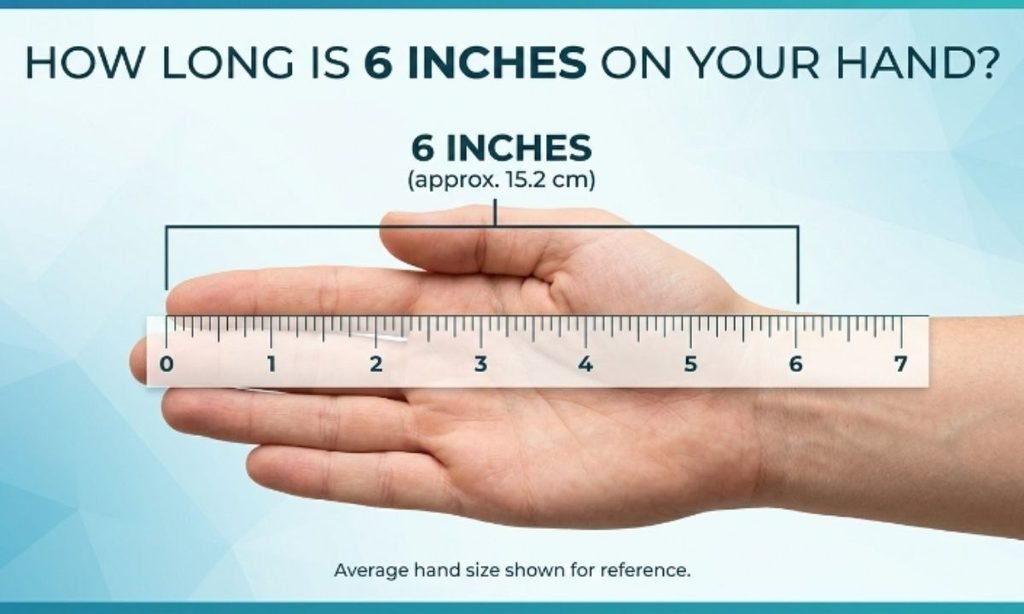 How Long is 6 Inches on Your Hand