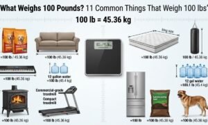things that weigh 100 pounds