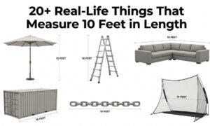 how long is 10 feet visually