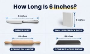 how long is 6 inches