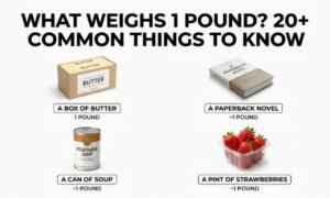 things that weigh 1 pound