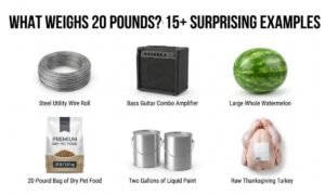 what weighs 20 pounds